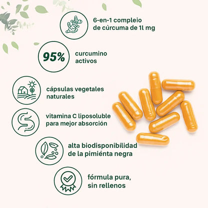 Turmeric: El Antiinflamatorio Natural Más Potente •95% Cúrcuma•